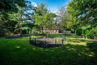 Jipsingboertangerweg 143 Sellingen