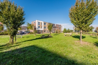 Wimpelplantsoen 227 Almere