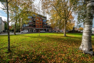 Burgemeester Schönfeldplein 15 C1 Winschoten