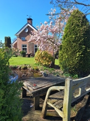 Brinkslaan 5 Schildwolde