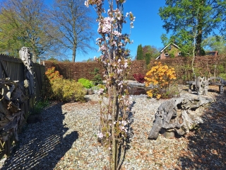 Brinkslaan 5 Schildwolde