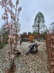 Brinkslaan 5 Schildwolde