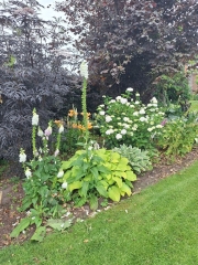 Brinkslaan 5 Schildwolde