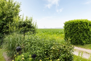 Brinkslaan 5 Schildwolde