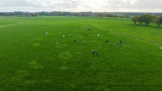 Zutphenseweg 44 Klarenbeek
