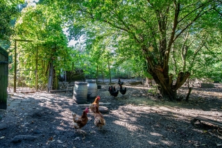 Dorpsstraat 6 Vriescheloo