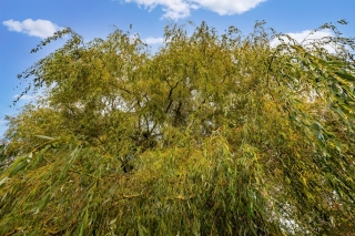 Zutphenseweg 44 Klarenbeek