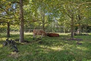 Taco Haringastraat 18 Schildwolde