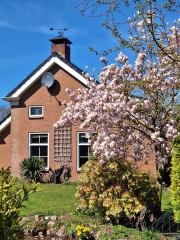 Brinkslaan 5 Schildwolde