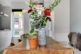 Heelmeestersdreef 103 Apeldoorn