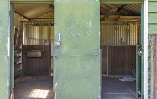 Wieselseweg 29 Wenum Wiesel