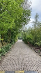 Coevorderweg 21 C111 Stegeren