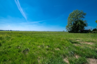 Zuidwending 1 Vriescheloo