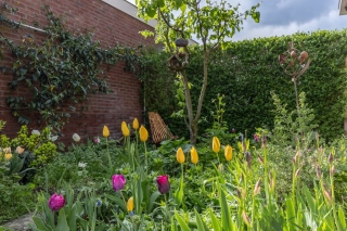 Krepelsbosch 121 Apeldoorn