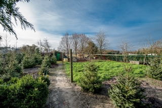 Rhederweg 128 BELLINGWOLDE