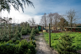 Rhederweg 128 BELLINGWOLDE