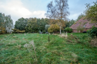 Boslaan 25 MIDWOLDA