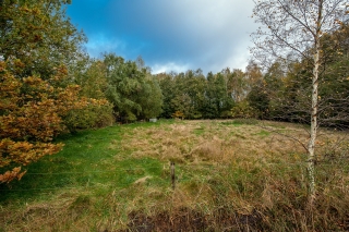 Boslaan 25 MIDWOLDA