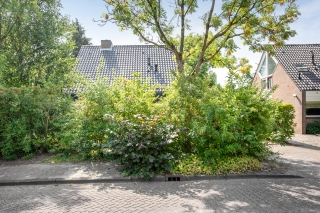 Hooiklamp 6 ZWAAG