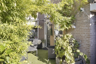 Schijfmos 44 NIEUWERKERK A/D IJSSEL