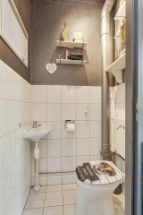Schijfmos 44 NIEUWERKERK A/D IJSSEL