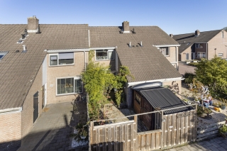 Schijfmos 44 NIEUWERKERK A/D IJSSEL