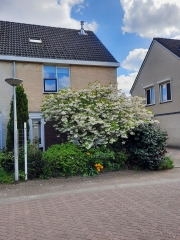 Piet Mondriaanstraat 46 ENSCHEDE