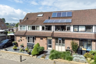 Sleutelbloem 3 Deventer
