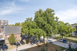 Douwelerwetering 19 DEVENTER