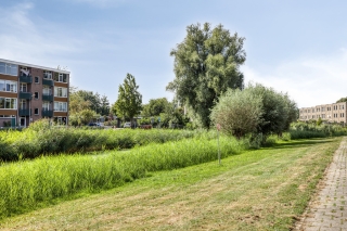 Douwelerwetering 19 DEVENTER
