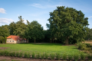 Zuidwending 1 Vriescheloo