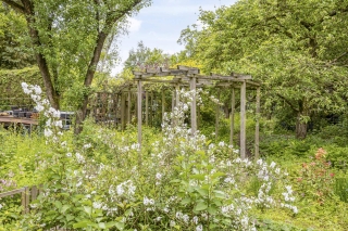 Nijreesweg 85 ALMELO