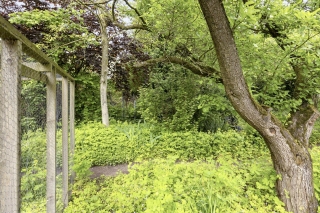 Nijreesweg 85 ALMELO