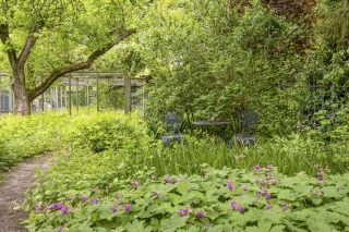 Nijreesweg 85 ALMELO