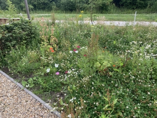 Het Penseel 39 DRONTEN