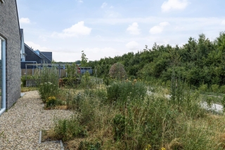 Het Penseel 39 DRONTEN