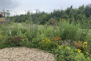 Het Penseel 39 DRONTEN