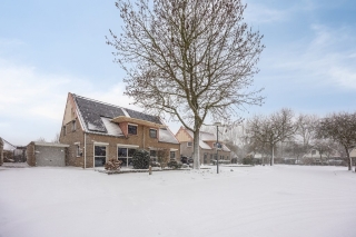 Waterlelie 7 Scheemda