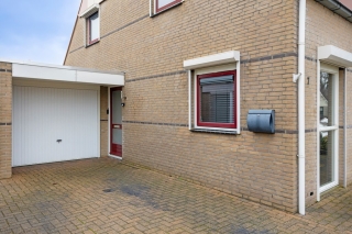 Waterlelie 7 Scheemda