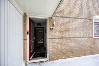 Waterlelie 7 Scheemda