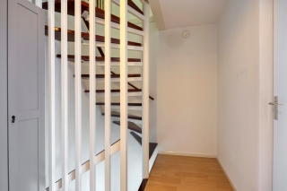 Waterlelie 7 Scheemda