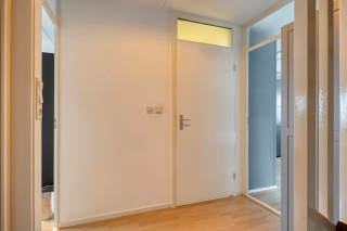 Waterlelie 7 Scheemda