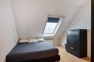 Waterlelie 7 Scheemda