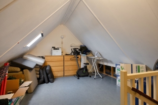 Waterlelie 7 Scheemda