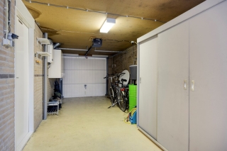 Waterlelie 7 Scheemda