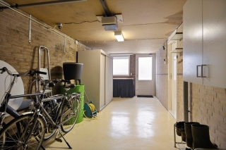 Waterlelie 7 Scheemda