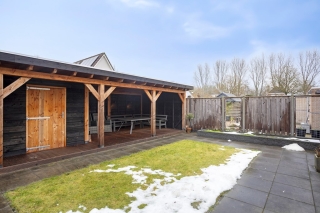 Waterlelie 7 Scheemda