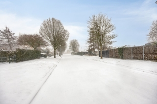 Waterlelie 7 Scheemda