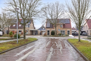 Waterlelie 7 Scheemda