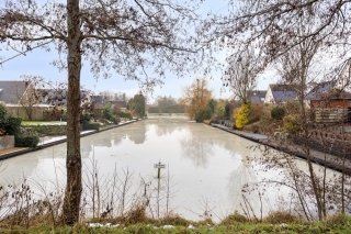 Waterlelie 7 Scheemda